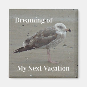 Beach Travel Paemated Grått Fiskmås Coastal Bird Magnet