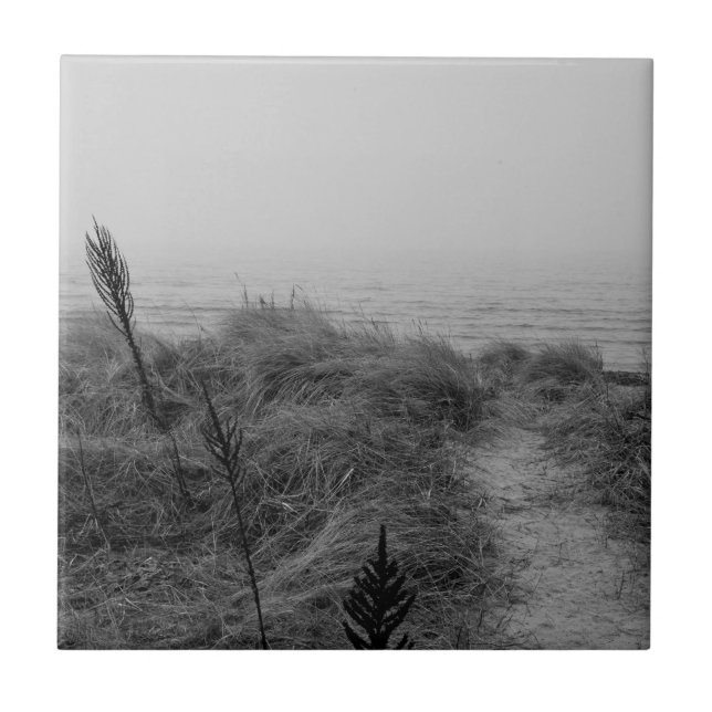 Beach väg kakelplatta (Framsidan)