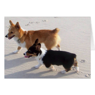 Beach-valpar Hälsningskort