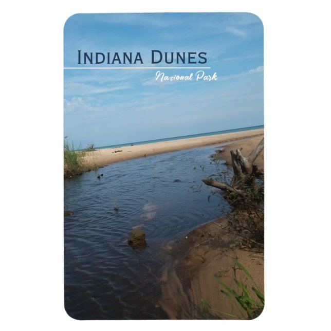 Beach Veiw Indiana Dunes nationalpark Magnet (Vertikal)