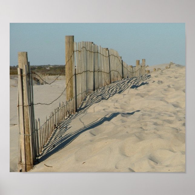 Beach vid Assateague Poster (Framsidan)
