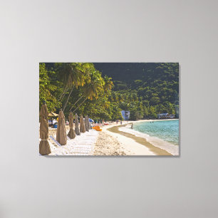 Beach vid Käpp Garden Bay, ön Tortola Canvastryck