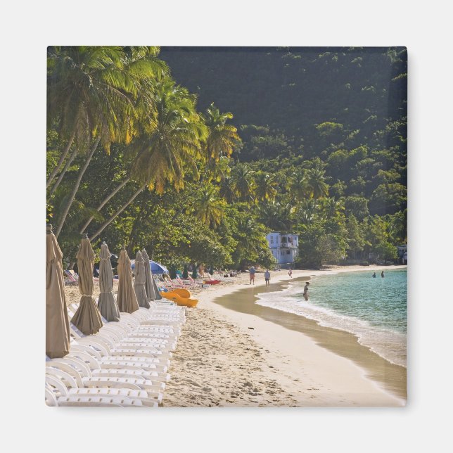 Beach vid Käpp Garden Bay, ön Tortola Magnet (Framsidan)