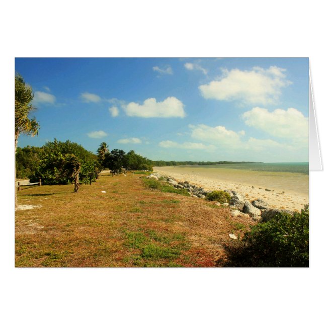 Beach View at Long Peak State Park, Florida Hälsningskort (Framsidan Horizontal)