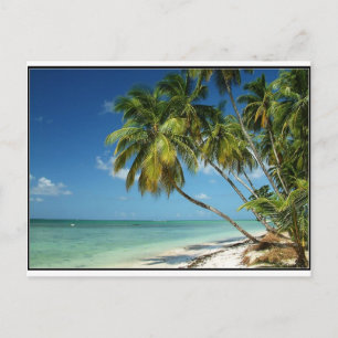 BEACH VYKORT