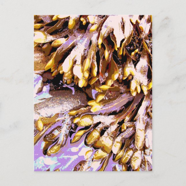 BEACH VYKORT (Framsida)