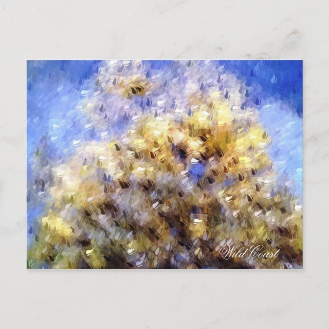 BEACH VYKORT (Framsida)