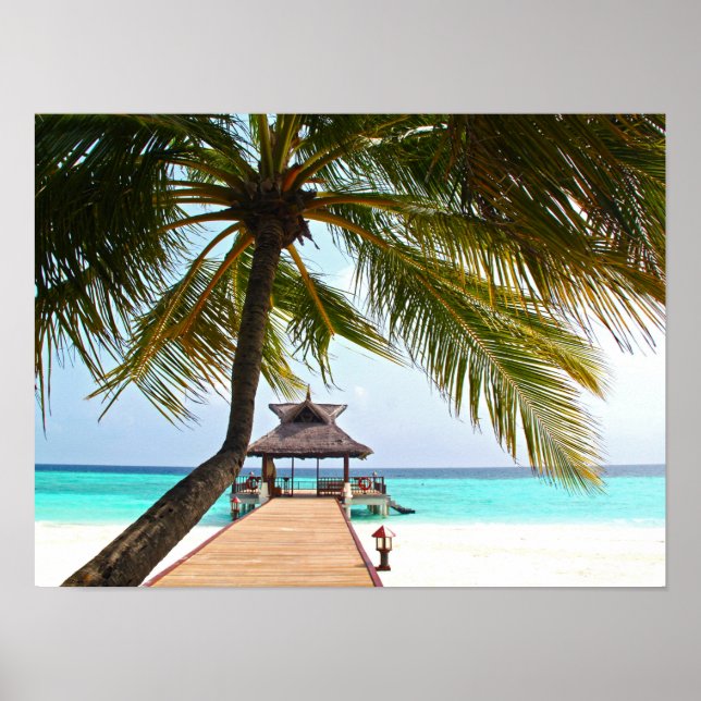 Beach Walk, Cabana, Handflatan Träd, Maldiverna Poster (Framsidan)