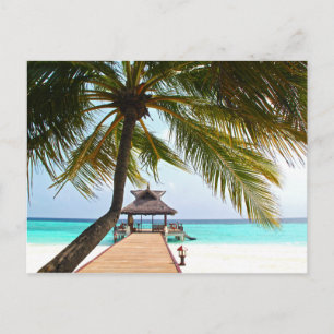 Beach Walk, Cabana, Handflatan Träd, Maldiverna Vykort