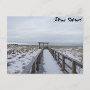 Beach Walkway Vykort