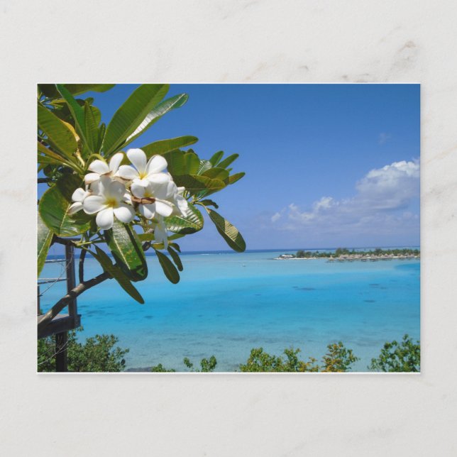 Beach Wedding Ocean Tahiti Flowers Vykort (Framsida)