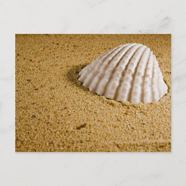 Beach Wedding Tropical OSA Investigation Inbjudan Vykort (Framsida)