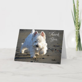 Beach Westie Photo - tackkort