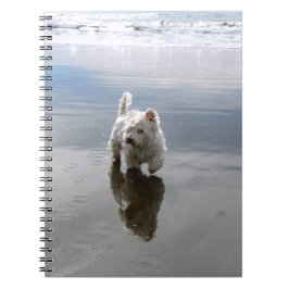 Beach Westie Reflection Photo Notebook Anteckningsbok