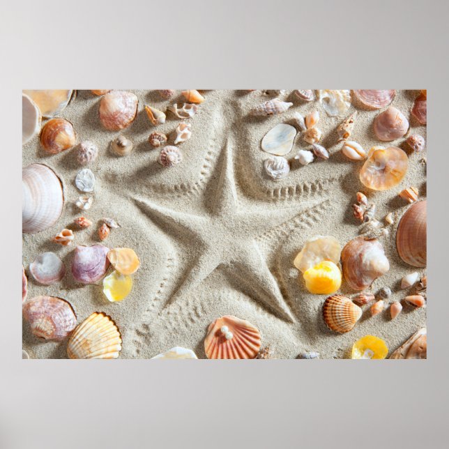 Beach White Sand Seashells Poster (Framsidan)