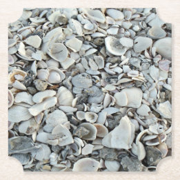 Beachcomber Shell Scatter Underlägg Papper