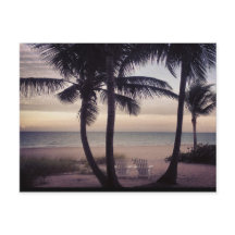 Beachcombers paradise