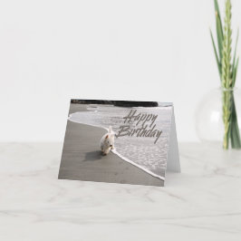 Beachcombi Westie Photo Birthday Card Tack Kort