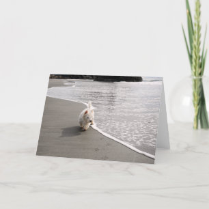 Beachcombi Westie Photo Greeting Card Tack Kort