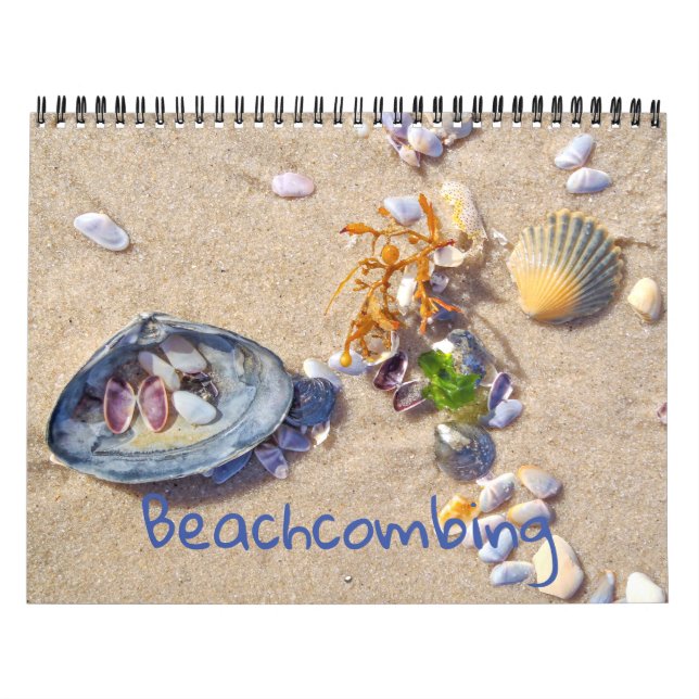Beachcombing Calendar Kalender (Omslag)