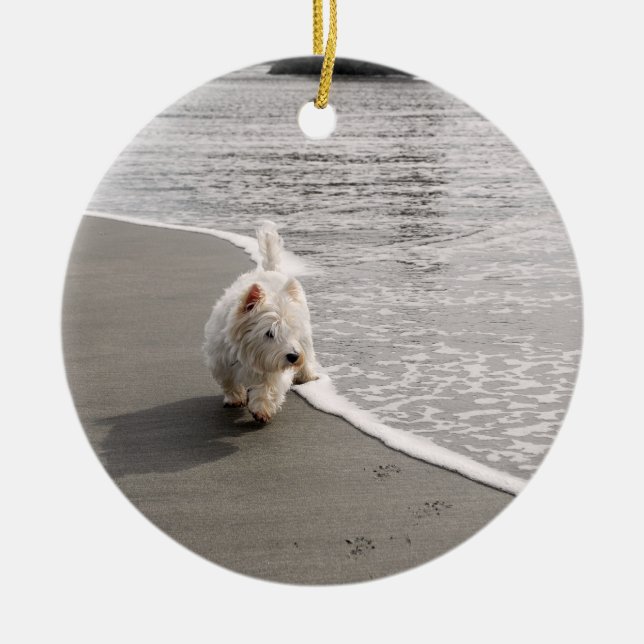 Beachcombing Westie Hund Photo Ornament (Framsidan)