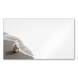 Beachcombing Westie Photo Affärskorts Magnetiska Visitkort