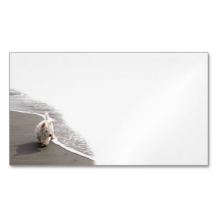 Beachcombing Westie Photo Affärskorts Magnetiska Visitkort