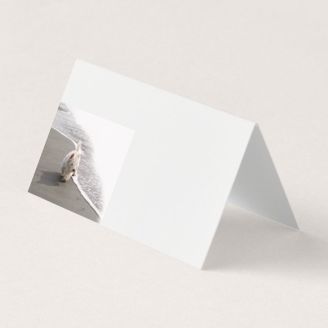 Beachcombing Westie Photo Affärskorts Visitkort (Framsida)