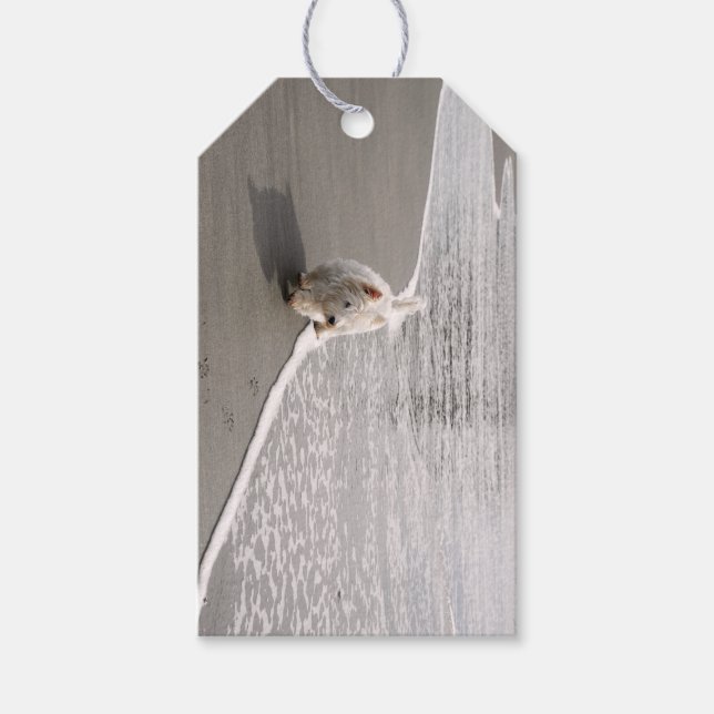 Beachcombing Westie Photo Gift Märkre Presentetikett (Framsidan)