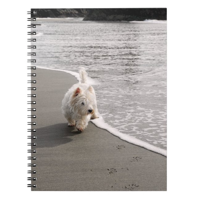 Beachcombing Westie Photo Spiral Notebook Anteckningsbok (Framsidan)