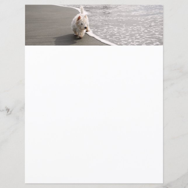 Beachcombing White Westie Hund Photo Stationery (Framsida)