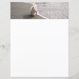 Beachcombing White Westie Hund Photo Stationery