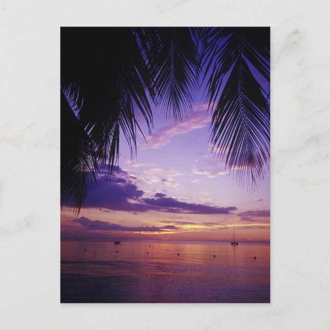 Beacher vid Negril, Jamaica 2 Vykort (Framsida)