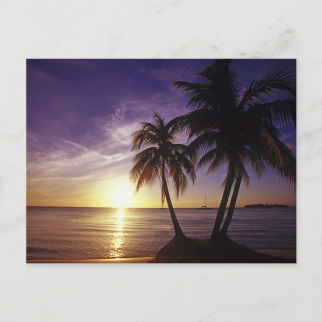 Beacher vid Negril, Jamaica 3 Vykort (Framsida)