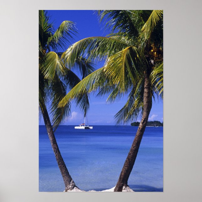 Beacher vid Negril, Jamaica Poster (Framsidan)
