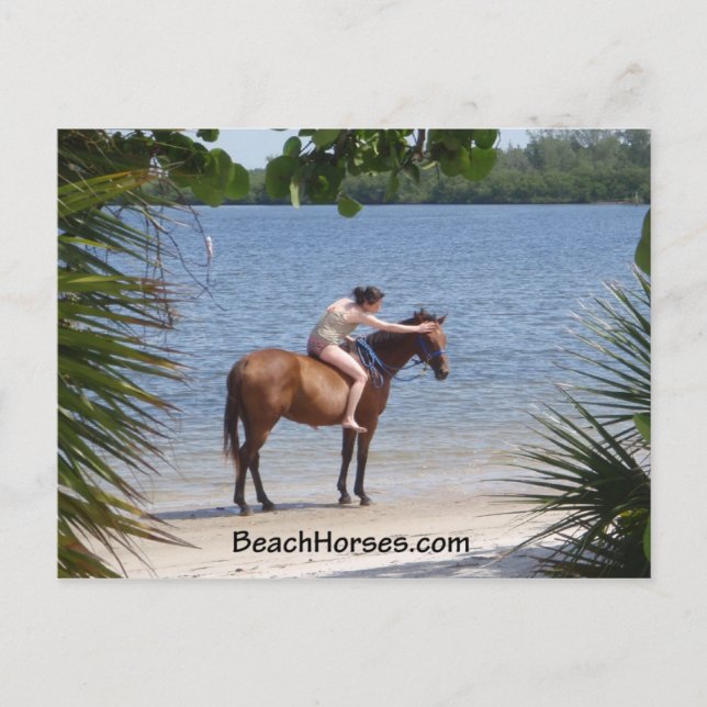 BeachHorses.com Vykort (Framsida)