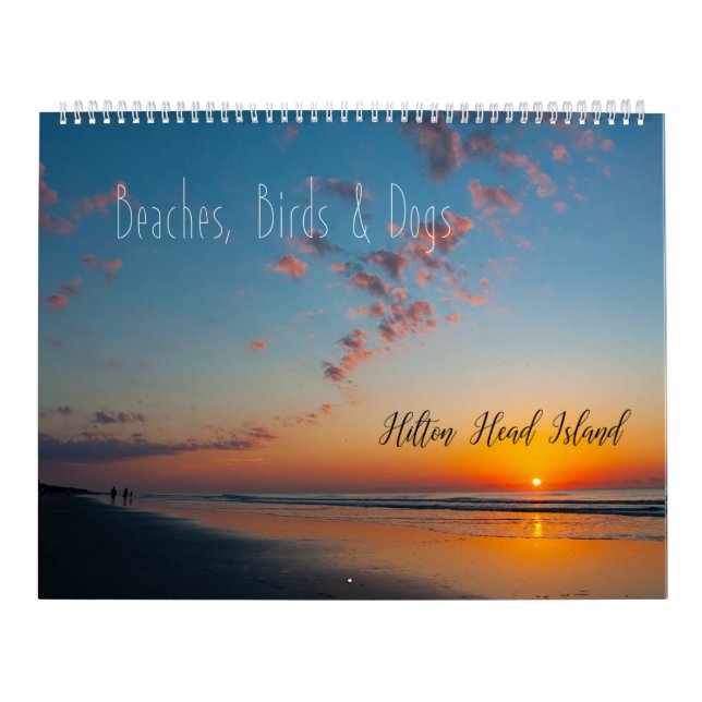 Beachs, fåglar & hundar på Hilton Head Island Kalender (Omslag)
