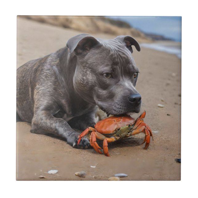 "Beachside Pals: A Staffy and its Crab Assion" Kakelplatta (Framsidan)