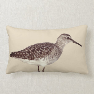 Beachy kust- Sandpiperfågel & sandig beige Lumbarkudde