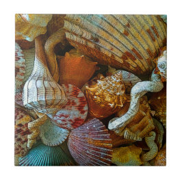 Beachy Seashells Kakelplatta