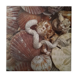 Beachy Seashells Sand Dollar Kakelplatta