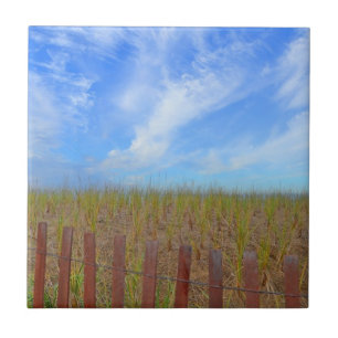 Beachy Tile från Hammonasset Kakelplatta