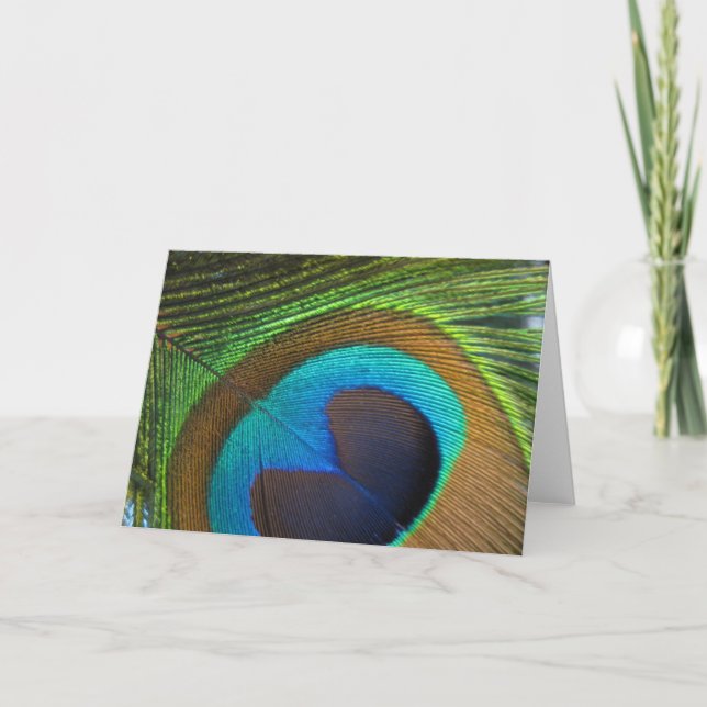 Beacock Feather Greeting Card - tomt inuti Kort (Framsida)