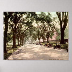 Beacon Street Mall Boston c1899 Vintageinspirerad Poster