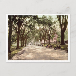 Beacon Street Mall Boston c1899 Vintageinspirerad Vykort
