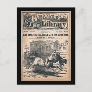 Beadles Half Dime Library nr 1120 1901 Vykort