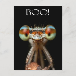 Beady-Eyed Damselfly Vykort