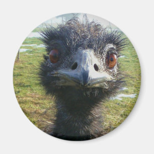 Beady ögon EMU Magnet