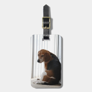 beagistisk attityd bagagebricka