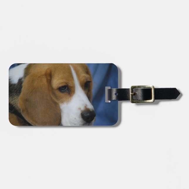 beagle-31.jpg bagagebricka (Horisontell Framsida)
